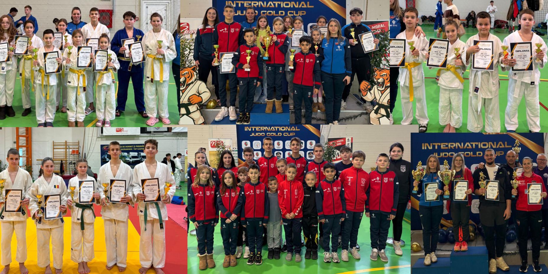 Aranyeső a szatmárnémeti judósoknál az Aranykupán