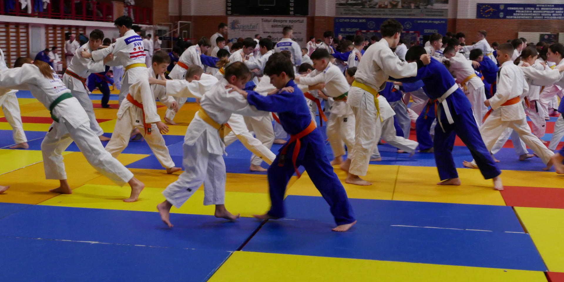 Több mint 500 judós vett részt a táborban